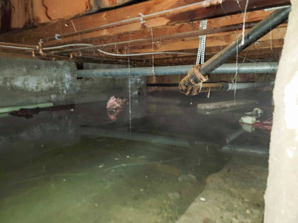 Best Water damage restoration near me  in Ben Avon, PA