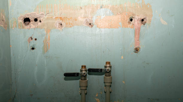 Best Residential water damage restoration  in Ben Avon, PA