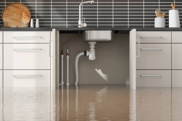 Best Sewage cleanup and water damage restoration  in Ben Avon, PA