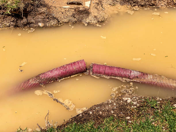 Best Water damage restoration near me  in Ben Avon, PA