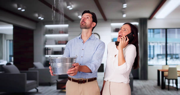 Best Commercial water damage restoration  in Ben Avon, PA